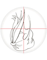 <tc>Porträt I - Linien und Winkel</tc>
